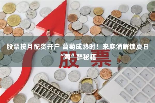 股票按月配资开户 葡萄成熟时！来麻涌解锁夏日“萄”醉秘籍