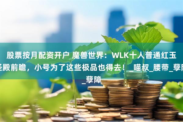 股票按月配资开户 魔兽世界：WLK十人普通红玉圣殿前瞻，小号为了这些极品也得去！_喵叔_腰带_孽障