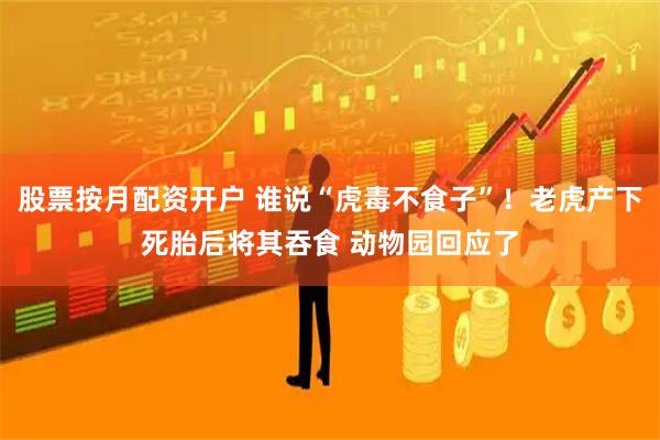 股票按月配资开户 谁说“虎毒不食子”！老虎产下死胎后将其吞食 动物园回应了