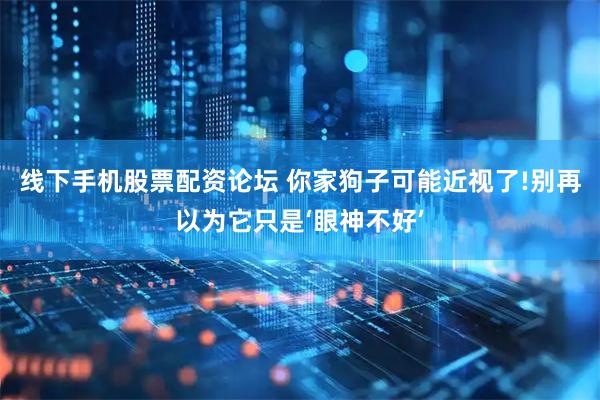 线下手机股票配资论坛 你家狗子可能近视了!别再以为它只是‘眼神不好’